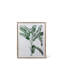 «Blissful Banana Tree», art mural encadré, 2 styles variés