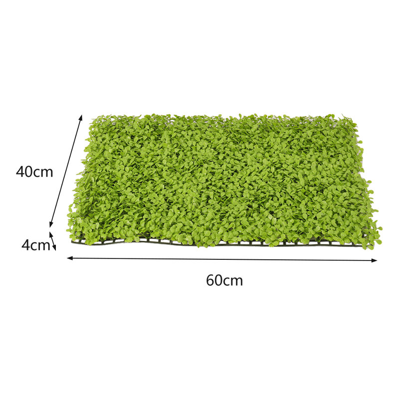 60cm Plant