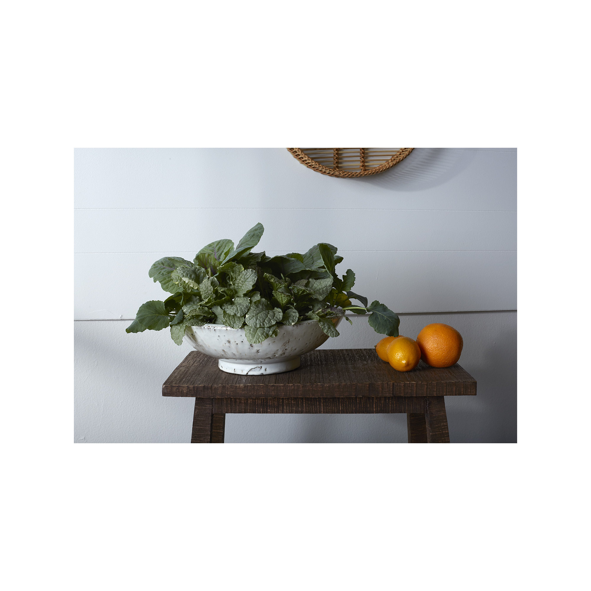 Zinfandel Handmade Ceramic Pot Planter