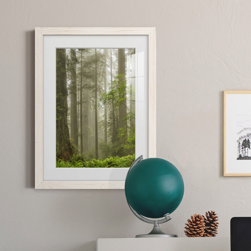 " Summer Forest II " Watercolor Painting, 24" H x 20" W x 1" D, White Framed