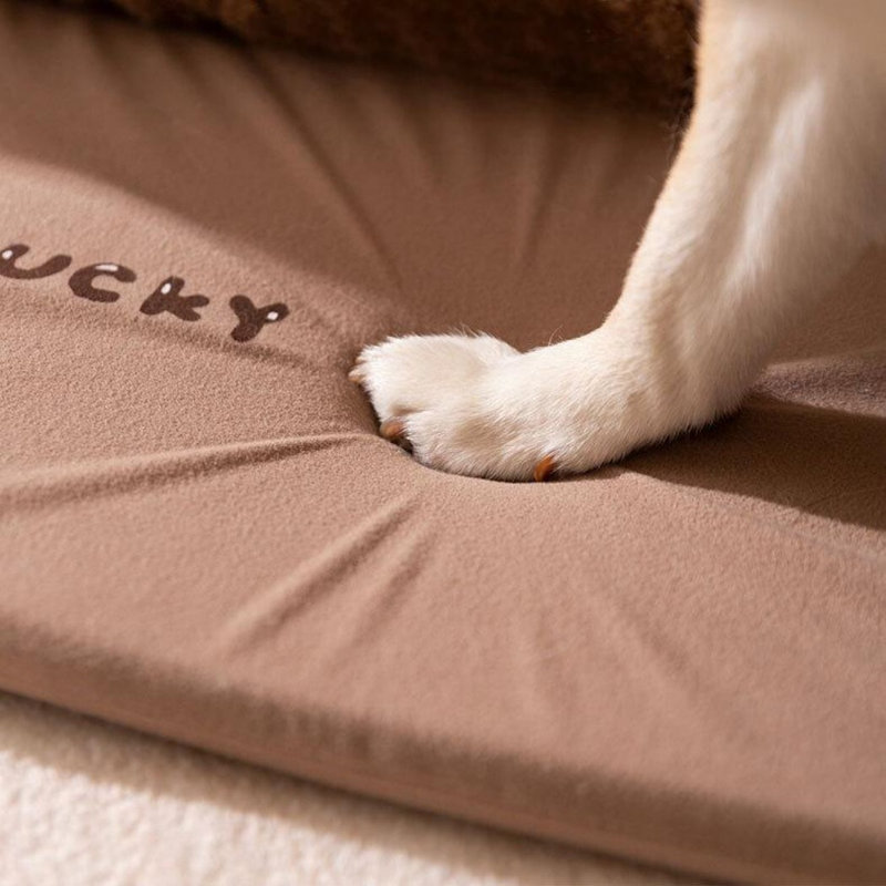 Niche pour chien Winter Winter, Medium (15.75" H x 23.62" W x 17.72" D), Brun