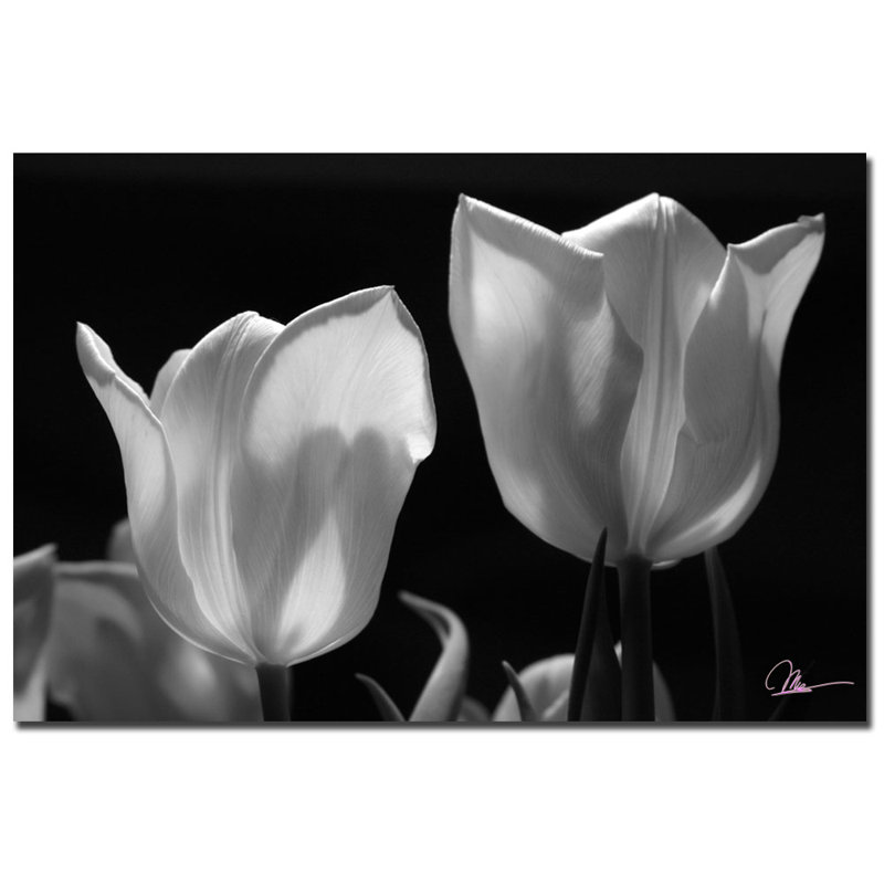 " Tulips II " by Martha Guerra