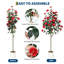 Plant-359297354