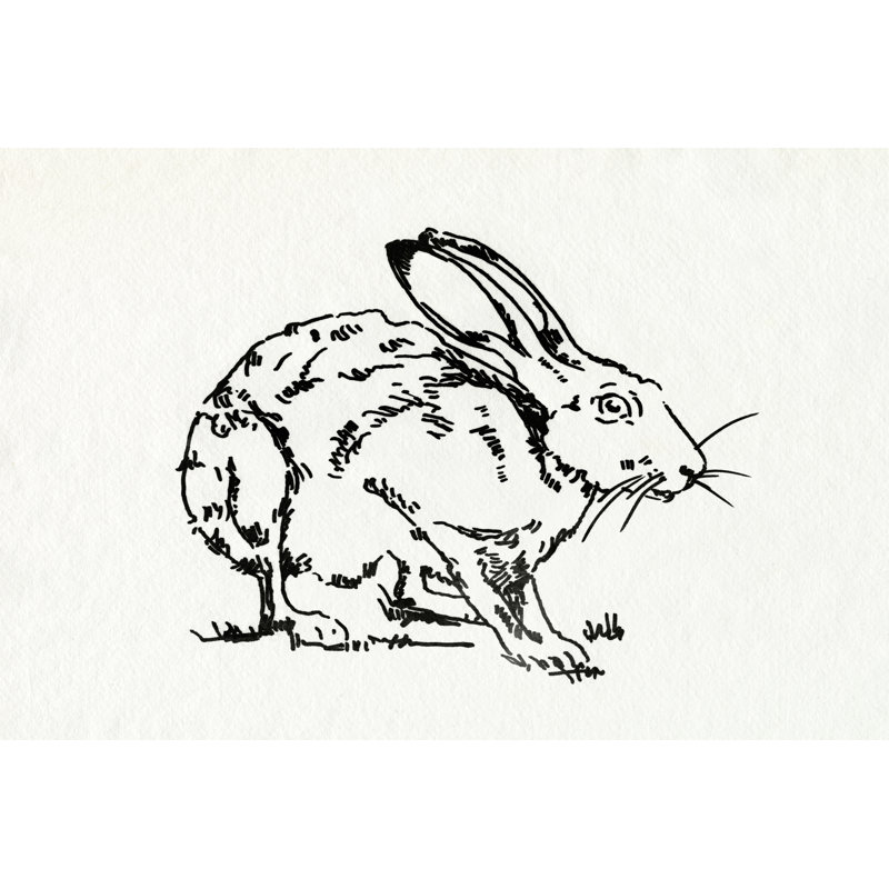 Resting Hare II by Emma Caroline - Drawing, 51 cm H x 76 cm W, Black Floater Framed