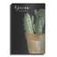 «You Matter Cactus» par Cindy Jacobs-1262124022