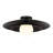 Sherrer 1-Light Ceiling Light in Matte Black-302410172