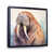 Black Floater Framed selected