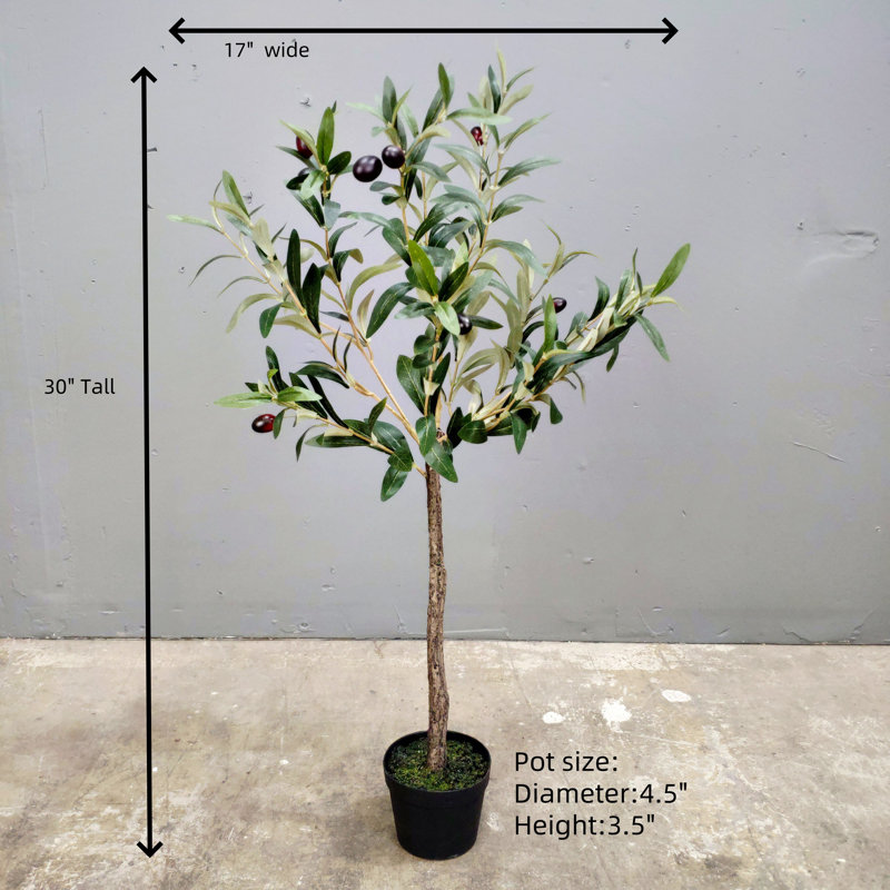 Faux Olive Tree for table top