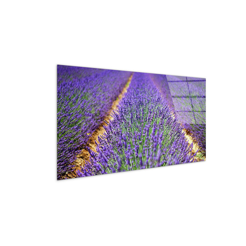 Lavanda by Art Studio 50cm H x 100cm W High Quality Print on Frameless Panel, Lightweight, Ready to Hang, CrystalArt
