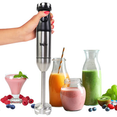 Holstein Housewares 250W 2-Speed Hand Blender, Black/Stainless - Ideal for  On-The-Go Smoothies, Shakes, and Protein Drinks