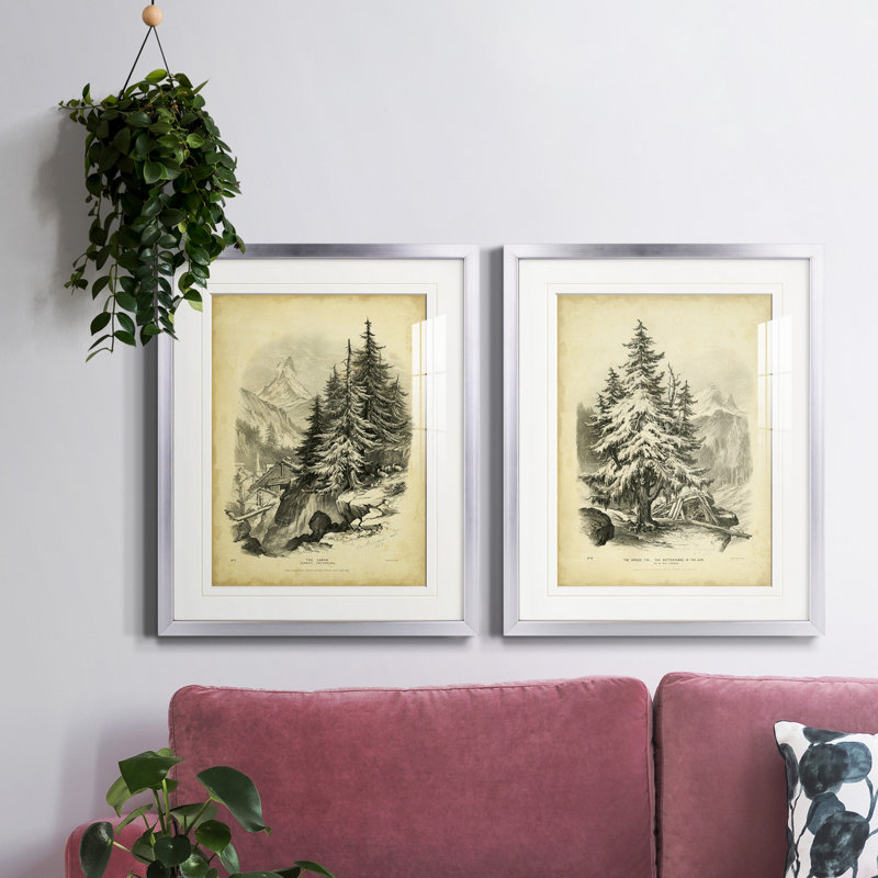«The Larch», reproduction encadrée de qualité supérieure - prête à être accrochée, Encadrement argenté