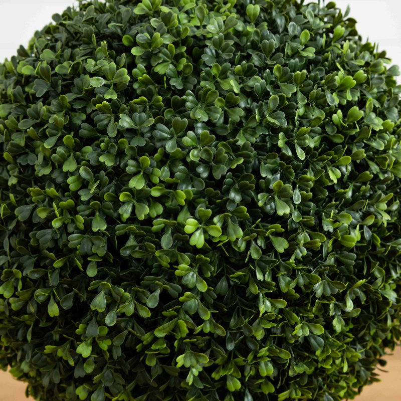 Boxwood Ball Topiary