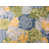 Feuille succulente