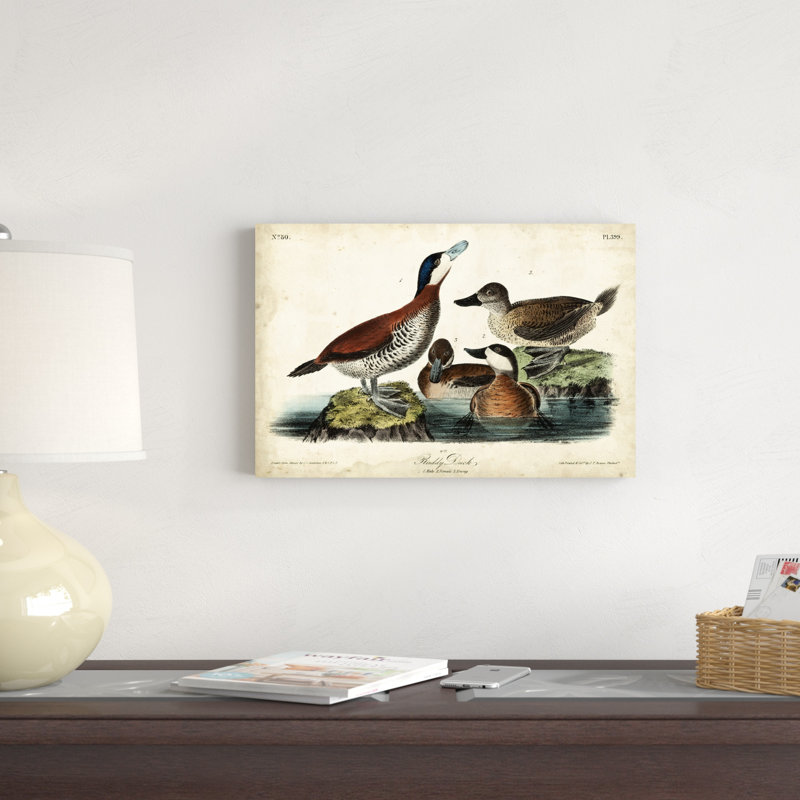Audubon Ducks II, H 12 po x l 18 po x P 1,25 po