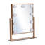 Lottemaria Metal Rectangle Floor Mirror