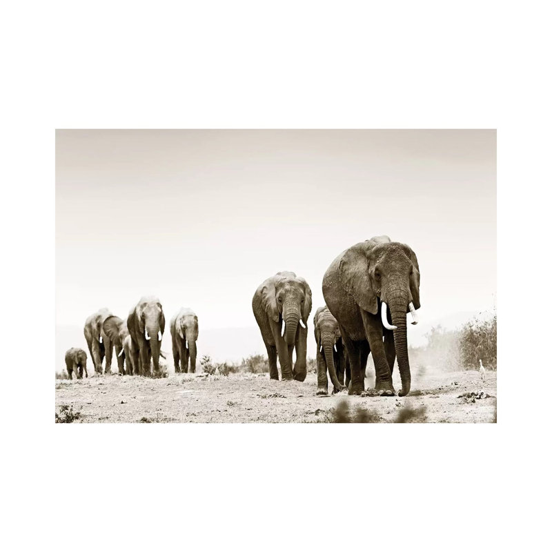 Marching Elephants by Klaus Tiedge - Wrapped Canvas Print, 20.32 cm H x 30.48 cm W