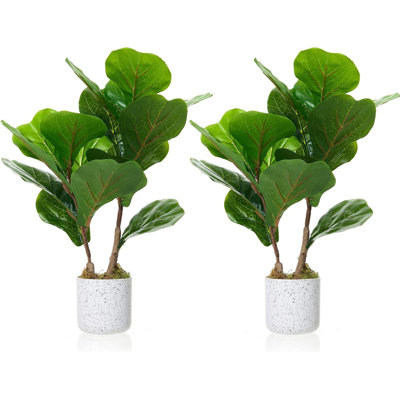 Set of 2 Artificial Fiddle Leaf Fig Plants, 15.7'' Tall, Realistic Faux Foliage in Pots, Low-Maintenance Decorative Greenery for Living Room, Office, or Indoor-Outdoor Spaces
