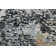 Abbing Abstract Area Rug