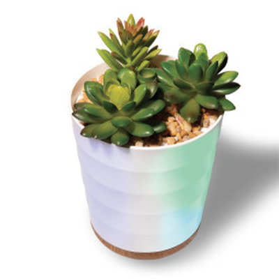 Aromatherapy Plug In