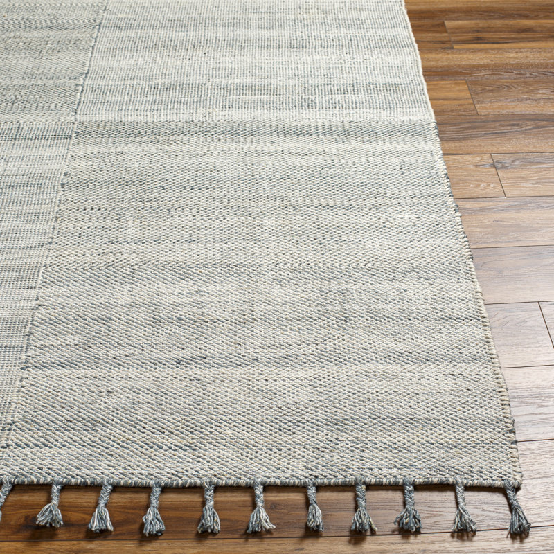 Columbia Solid Color Flatweave Recycled P.E.T. Indoor / Outdoor Area Rug, Rectangle 2' x 3', Gray