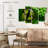 Brampt Green Python Eye-108834875