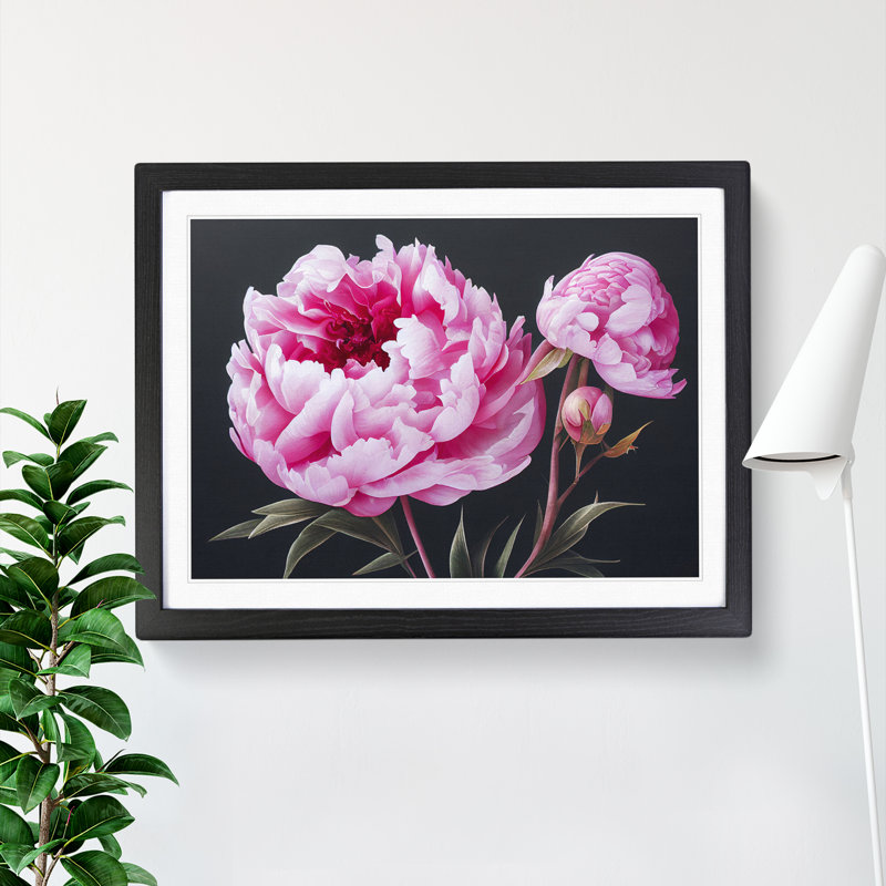 Adorable Peonies - Single Picture Frame Painting, Black Framed, 25cm H x 34cm W x 2cm D