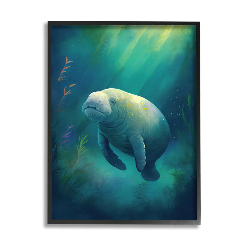 «Manatee Underwater View» par Enrico McGarrigle, H 14 po x l 11 po x P 1,5 po, Giclée encadrée noir minuit