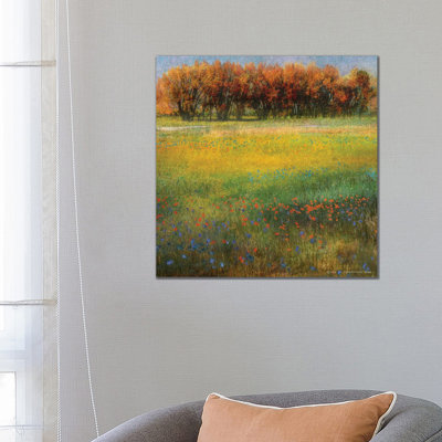 Meadow Flowers II by Christopher Vest - Wrapped Canvas Gallery-Wrapped Canvas Giclée