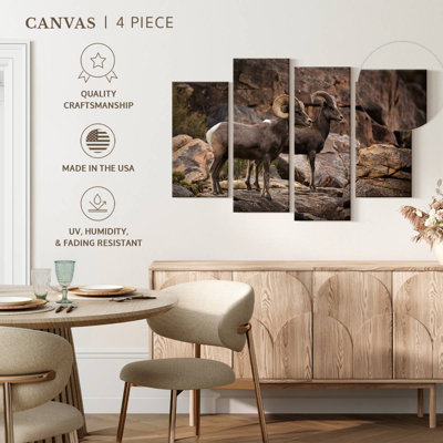 Brampt Bighorn Sheep Couple