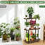 Plant Stand