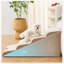 Escaliers pour petits chiens-146052728