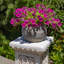 22 po Décoration colonne haute piédestal-481106156