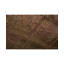 Neo Villa Floral Area Rug