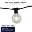 10-Light 14 ft. Globe String Light