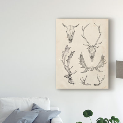 «Skull and Antler Study II» par Ethan Harper - reproduction d'art sur toile