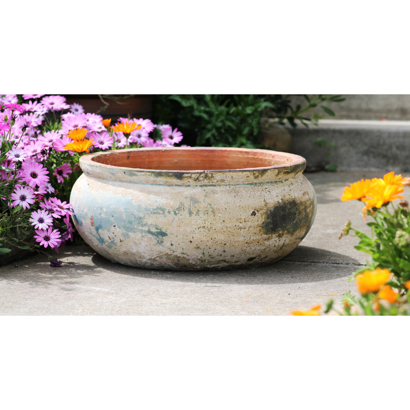 Pots de fleurs bas Parco en terre cuite à bord arrondi, lot de 3 - Intérieur/Extérieur, Blanc héritage