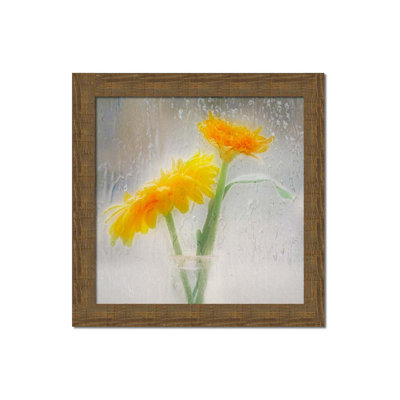 Tears in My Sunshine by Hal Halli. Paper Print - Mounted & Framed with Clear Acrylic