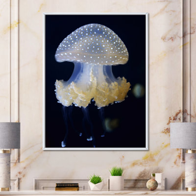 " White-Spotted Jellyfish On Black "