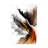 Mauro  Earthy Abstraction Canvas Art