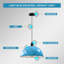 1 - Light Dome Pendant-744964785