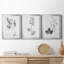 «Botanical Imprint I», ensemble de 3 peintures sur toile encadrées-1130262993-1130263006