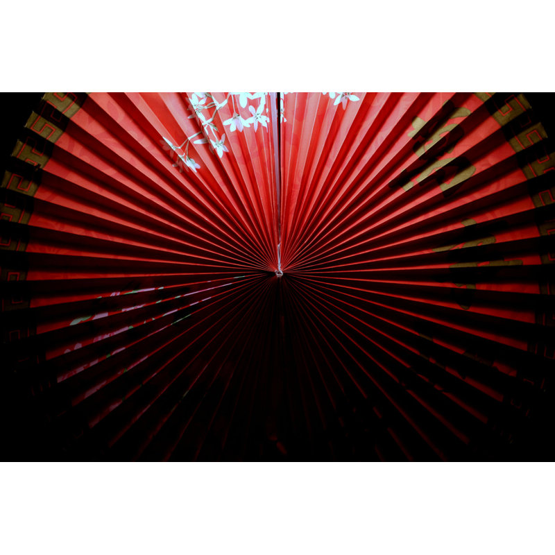 Moeshia Chinese Fan - Photographie sur toile tendue, H 12 po x l 18 po