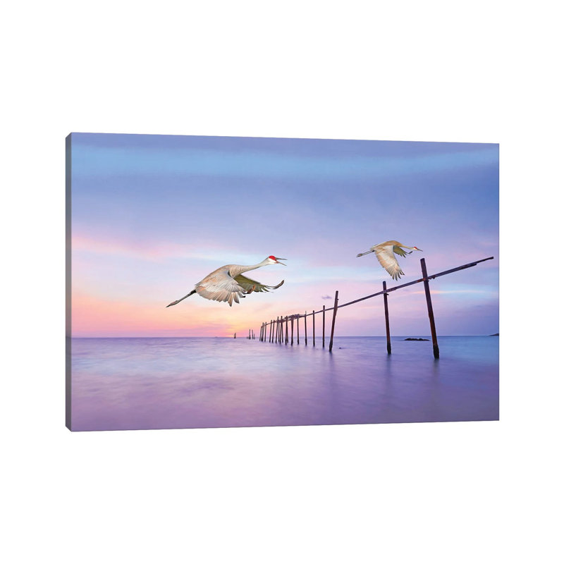 Sandhill Cranes In Flight by Laura D Young - No Frame Gallery-Wrapped Canvas Giclée on Canvas