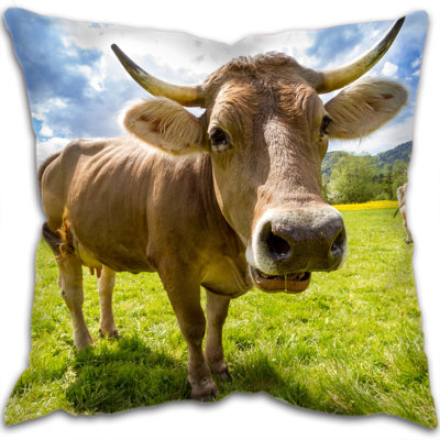 Beauregard Square Throw Cushion