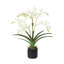 Polysilk Orchid Arrangement In Pot-2030385136-2030385143