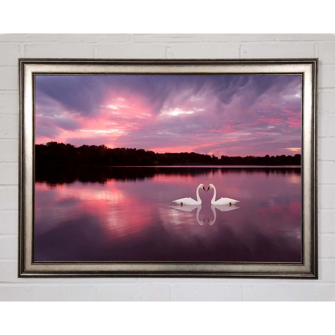 Perfect Swan Waters - Einzelner Bilderrahmen Kunstdrucke