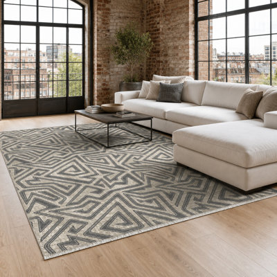 Trellis Cotton and Chenille Flatweave Area Rug