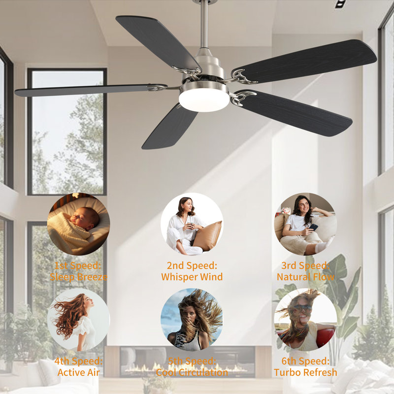 Ventilateur de plafond d'intérieur moderne de 52 pouces avec moteur à courant continu réversible à 5 vitesses et 5 lumières à DEL à intensité variable