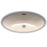 Augusta Vitreous China Oval Undermount Bathroom Sink with Overflow