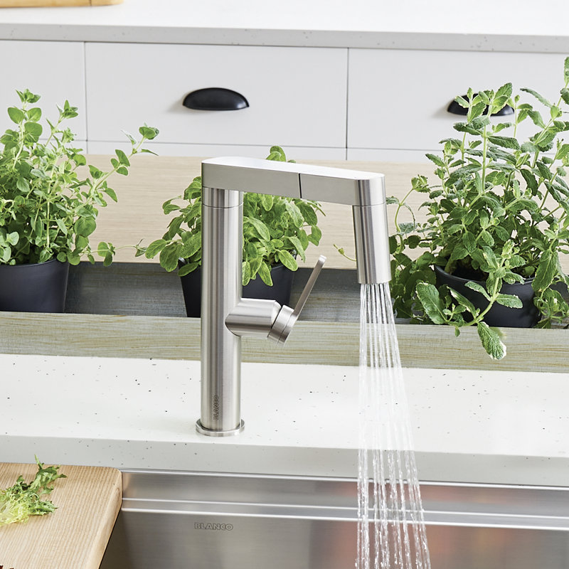 Panera Pull Out Kitchen Faucet